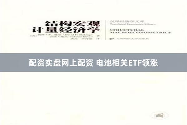 配资实盘网上配资 电池相关ETF领涨