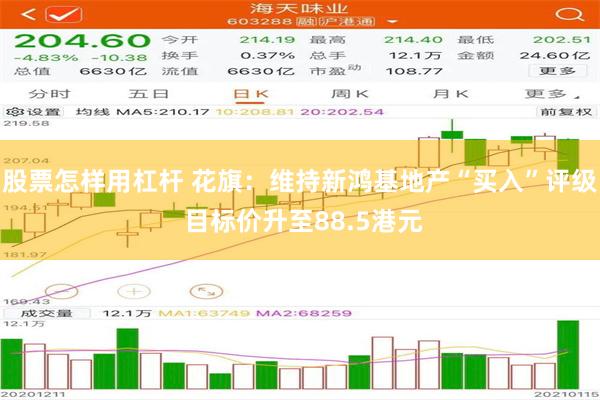 股票怎样用杠杆 花旗：维持新鸿基地产“买入”评级 目标价升至88.5港元