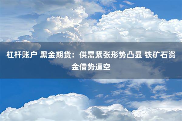 杠杆账户 黑金期货：供需紧张形势凸显 铁矿石资金借势逼空