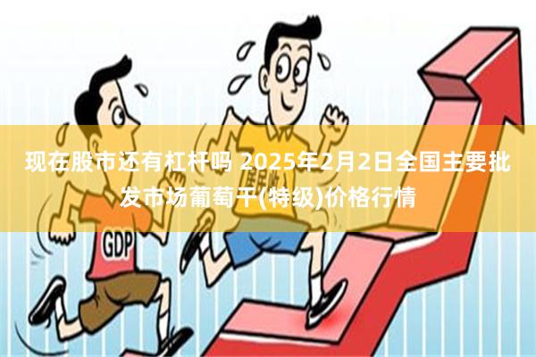 现在股市还有杠杆吗 2025年2月2日全国主要批发市场葡萄干(特级)价格行情