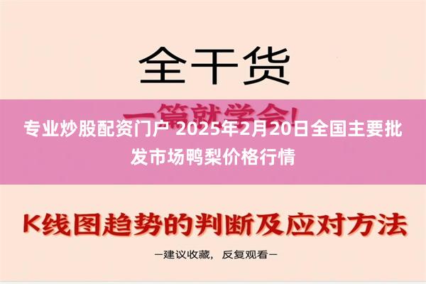 专业炒股配资门户 2025年2月20日全国主要批发市场鸭梨价格行情